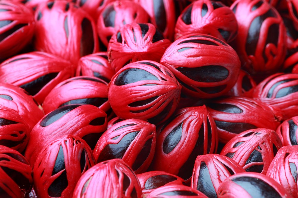 Spices